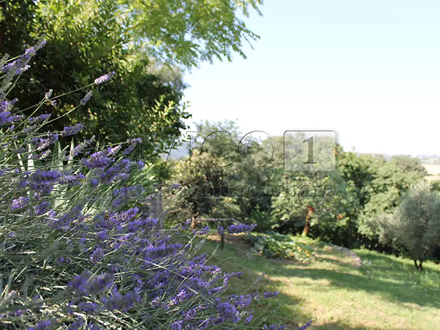 Immagine 4 di Villa in vendita  a Vicenza