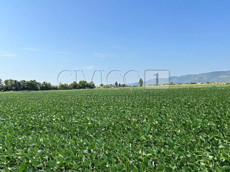 Immagine 7 di Terreno agricolo in vendita  in Via Volpara a Castegnero