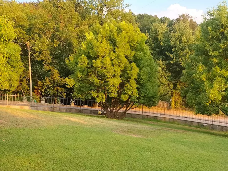 Immagine 47 di Casa semindipendente in vendita  in Via dei Pini 40 a Castelnuovo Magra