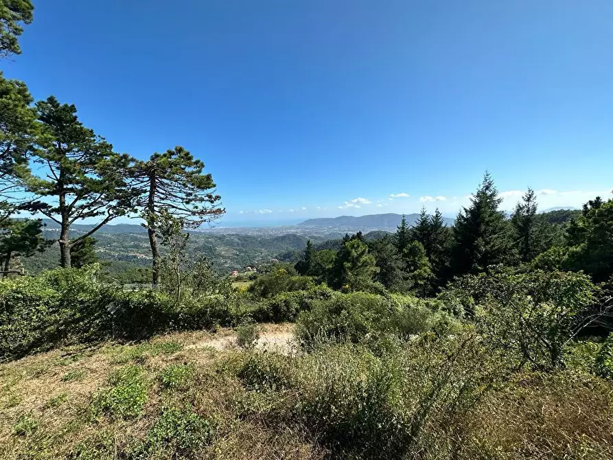 Immagine 29 di Villa in vendita  in Via Pianaccia a Fosdinovo