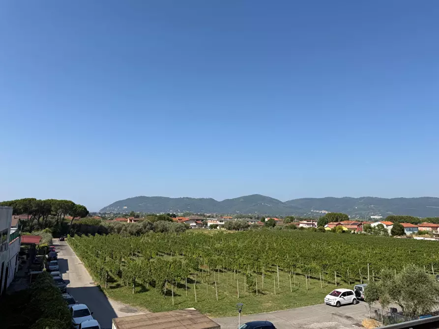 Immagine 27 di Villetta a schiera in vendita  in Via Larga 37 a Ortonovo