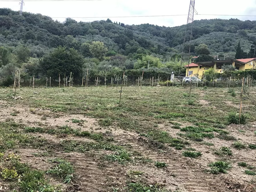 Immagine 6 di Appartamento in vendita  in Via Montefrancio 46 a Castelnuovo Magra