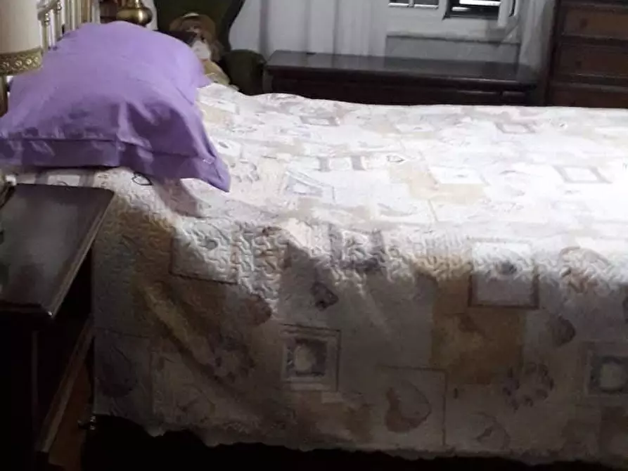 Immagine 6 di Casa semindipendente in vendita  in Via Magliola a Carrara