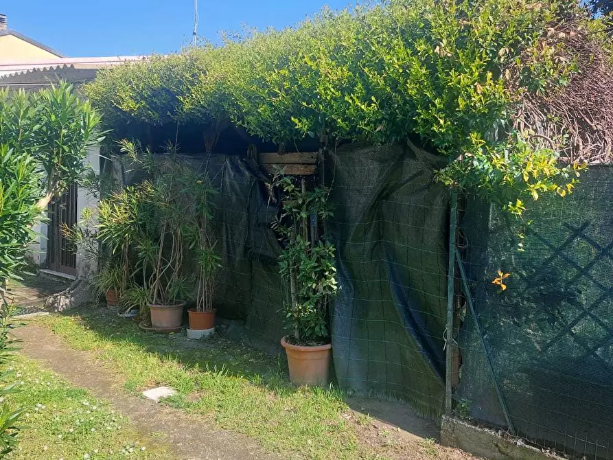 Immagine 5 di Terratetto in vendita  in Piazza Gino Menconi 12 a Carrara