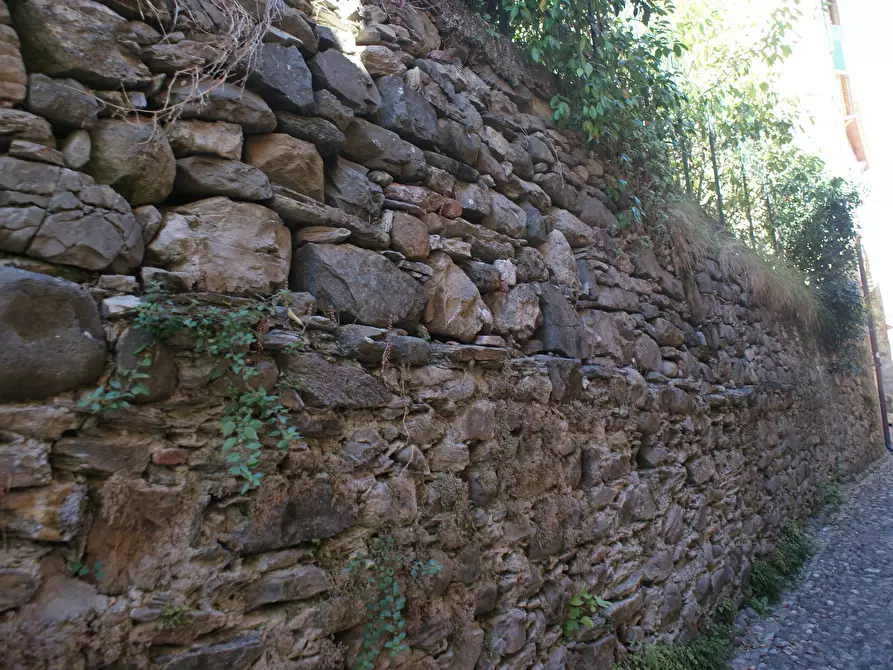 Immagine 48 di Villa in vendita  in Via Annunziata a Ortonovo