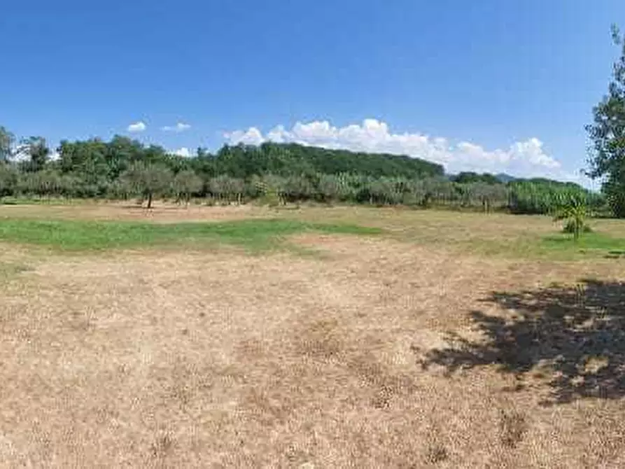 Immagine 2 di Villa in vendita  in Via Fontananera 52 a Sarzana