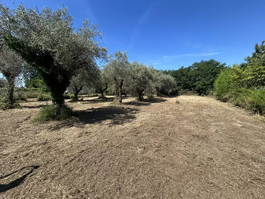 Immagine 8 di Terreno edificabile in vendita  in Via Isola 44 a Ortonovo