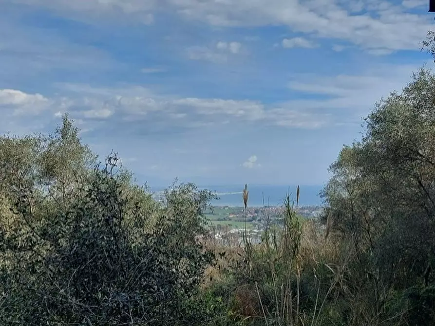 Immagine 14 di Rustico / casale in vendita  in Via Caffaggio 10 a Ameglia