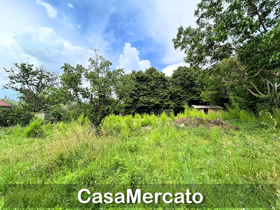 Immagine 5 di Rustico / casale in vendita  a Grottaferrata