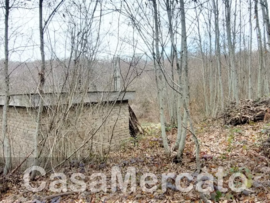 Immagine 9 di Rustico / casale in vendita  in Via Vinale delle Faete a Rocca Di Papa