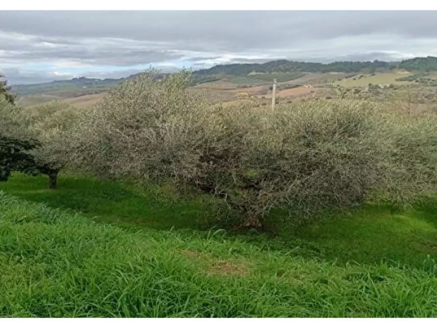 Immagine 19 di Casa indipendente in vendita  a San Benedetto Del Tronto