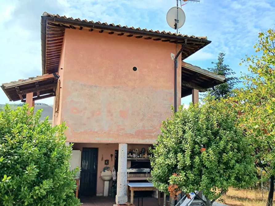 Immagine 42 di Casa indipendente in vendita  a Ancarano
