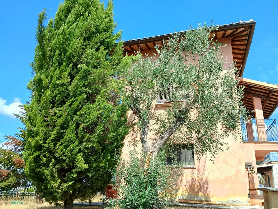 Immagine 43 di Casa indipendente in vendita  a Ancarano