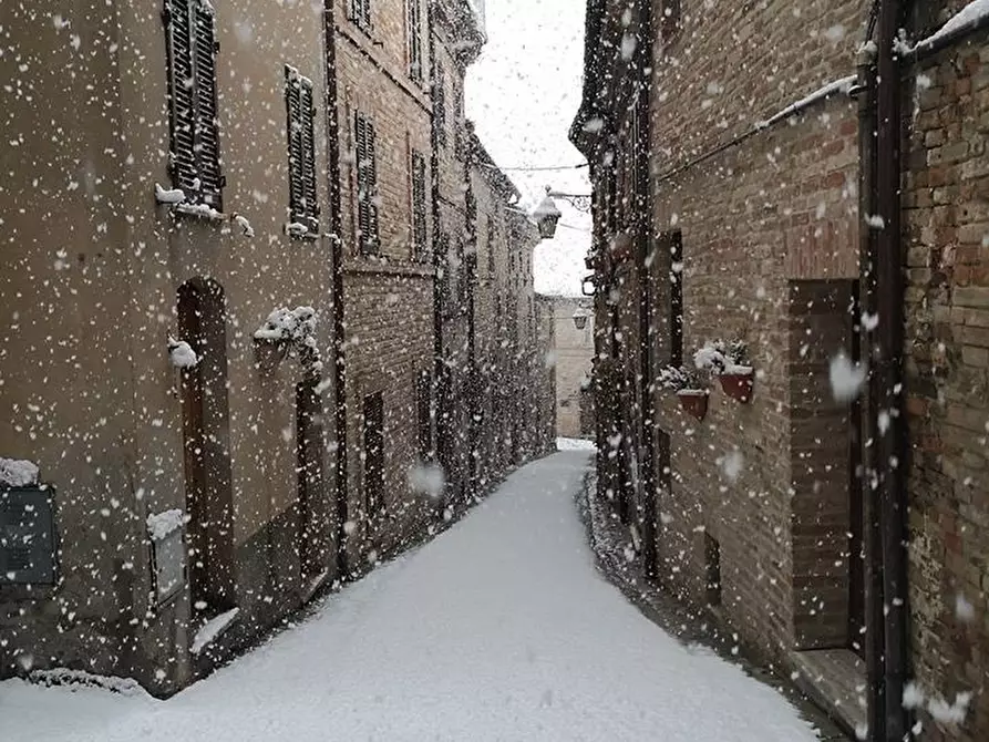 Immagine 2 di Casa indipendente in vendita  a Cossignano