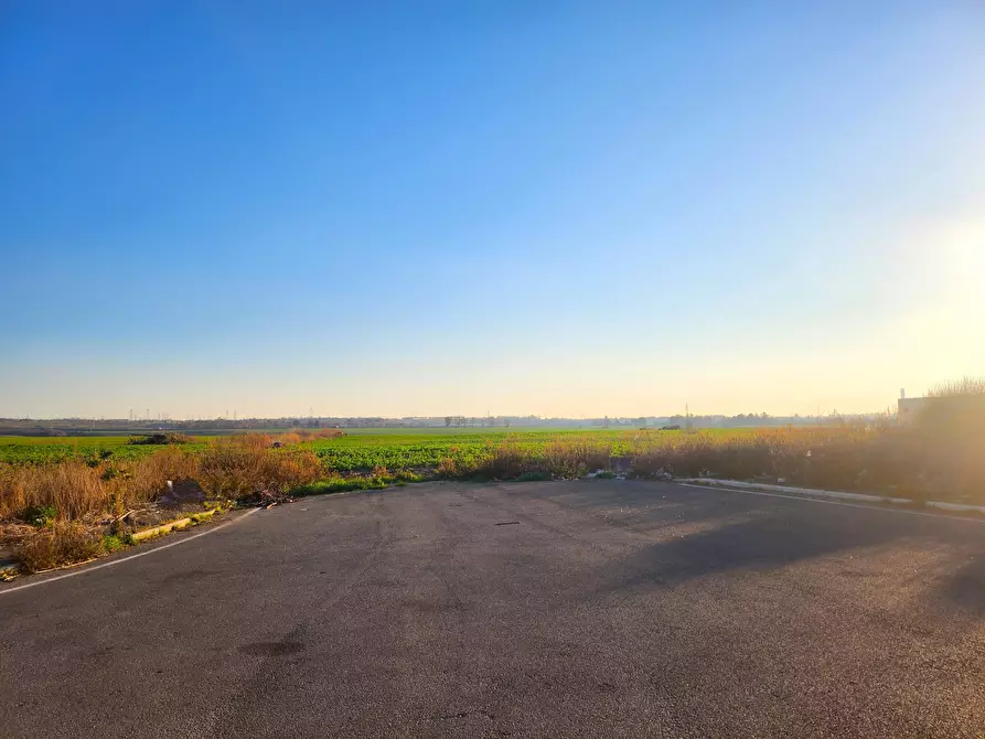 Immagine 7 di Terreno industriale in vendita  a Tarquinia