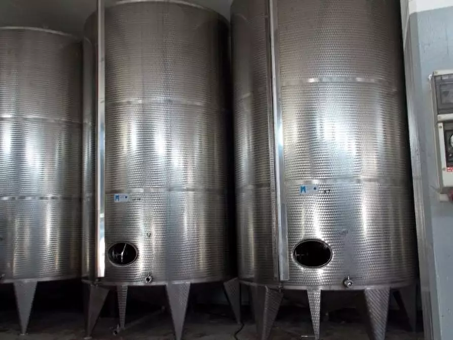 Immagine 14 di Azienda agricola in vendita  a Ripatransone