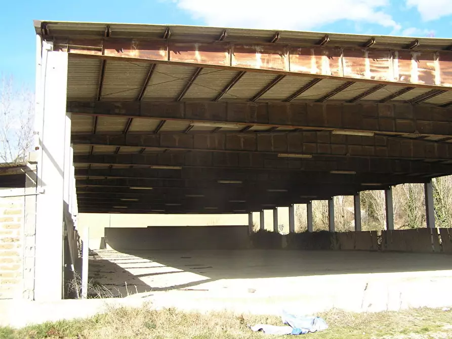 Immagine 5 di Attività commerciale in vendita  in Via Menocchia a Montefiore Dell'aso