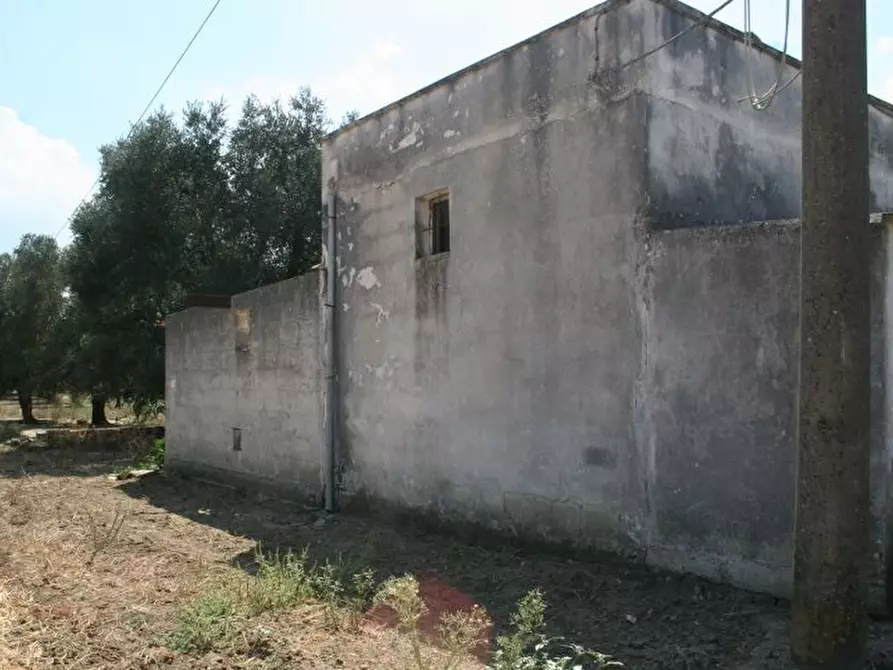 Immagine 16 di Terreno agricolo in affitto  in contrada mandrò a Cutrofiano