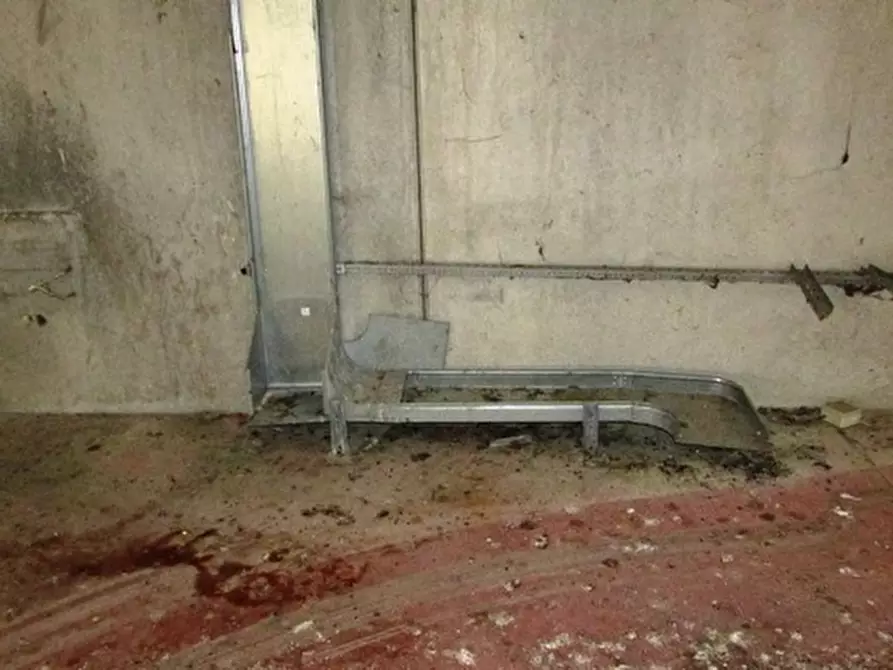 Immagine 30 di Capannone industriale in affitto  a Colonnella