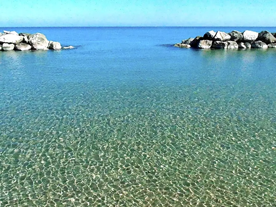 Immagine 4 di Attività commerciale in vendita  a Fano