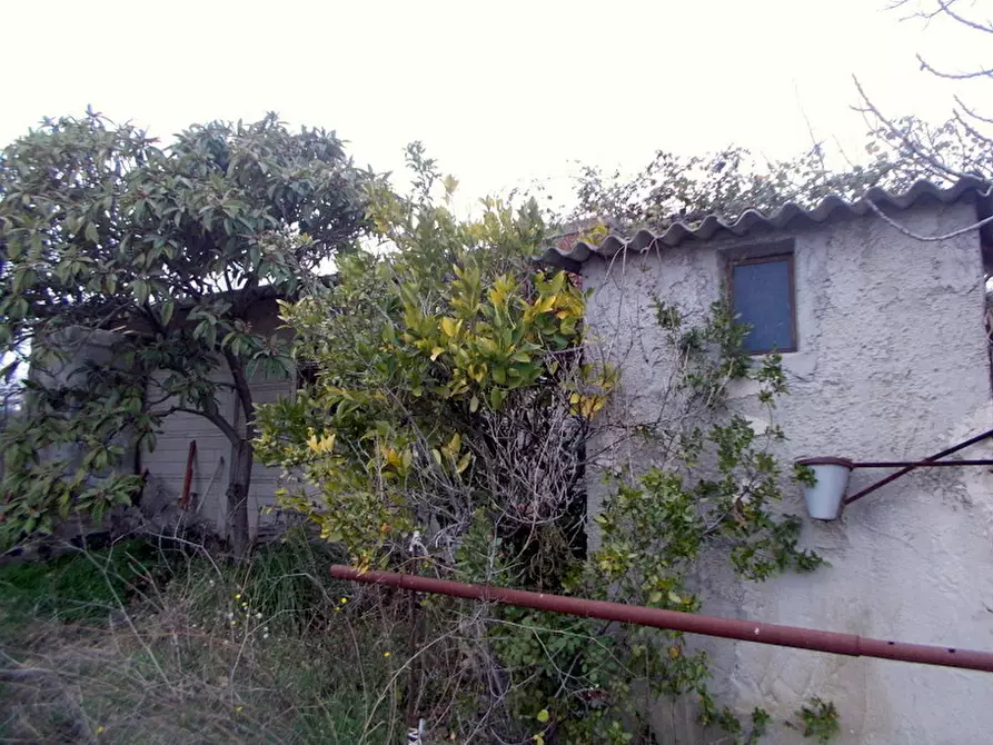 Immagine 10 di Rustico / casale in vendita  a San Benedetto Del Tronto
