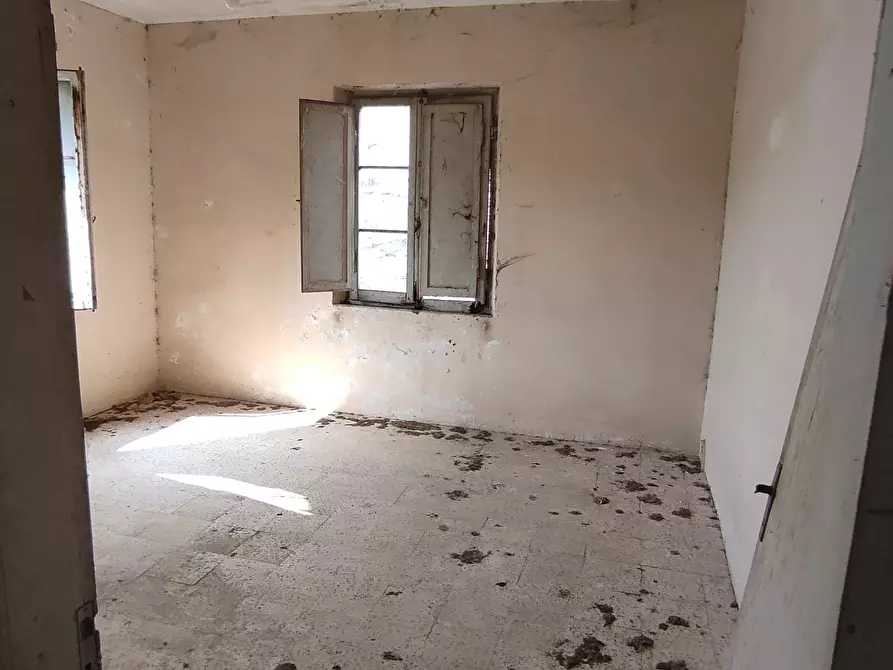 Immagine 12 di Casa indipendente in vendita  a Controguerra