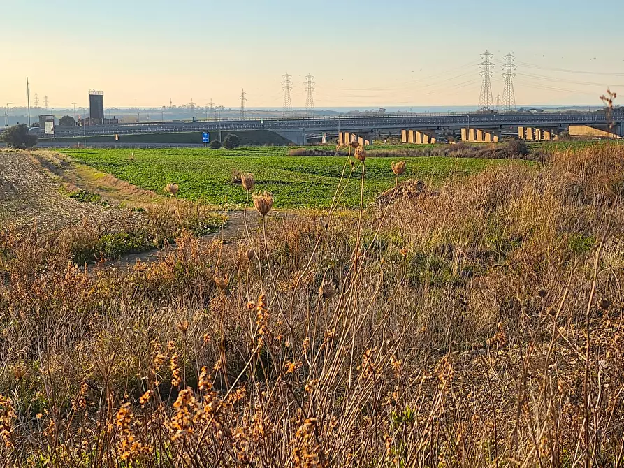 Immagine 10 di Terreno industriale in vendita  a Tarquinia