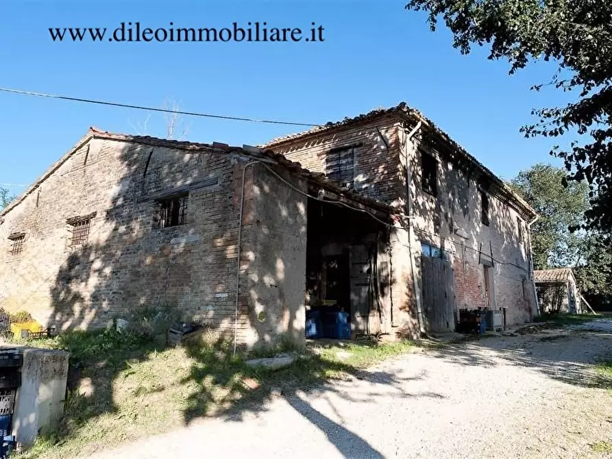 Immagine 4 di Terreno agricolo in vendita  a Pesaro