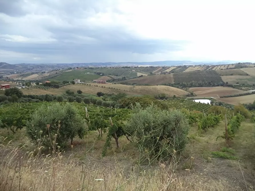 Immagine 28 di Casa indipendente in vendita  a Colonnella