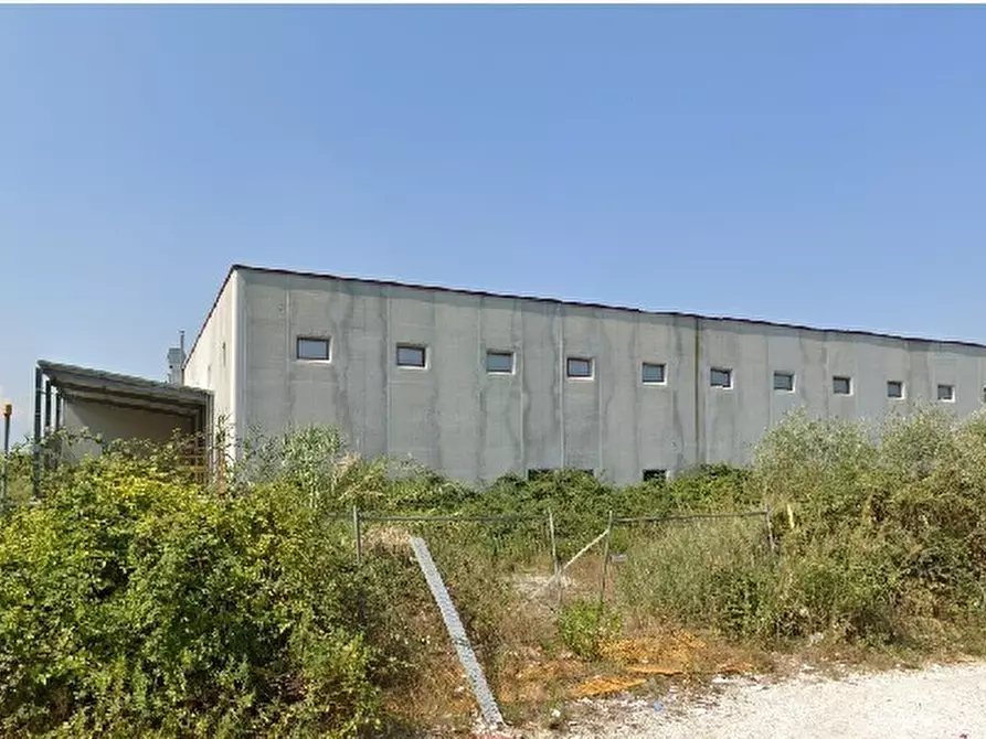Immagine 8 di Capannone industriale in vendita  a Colonnella