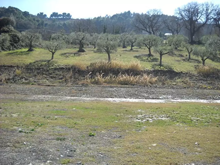 Immagine 9 di Terreno agricolo in affitto  a Grottammare