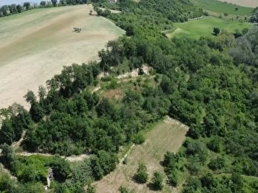 Immagine 4 di Azienda agricola in vendita  in periferia a Petritoli