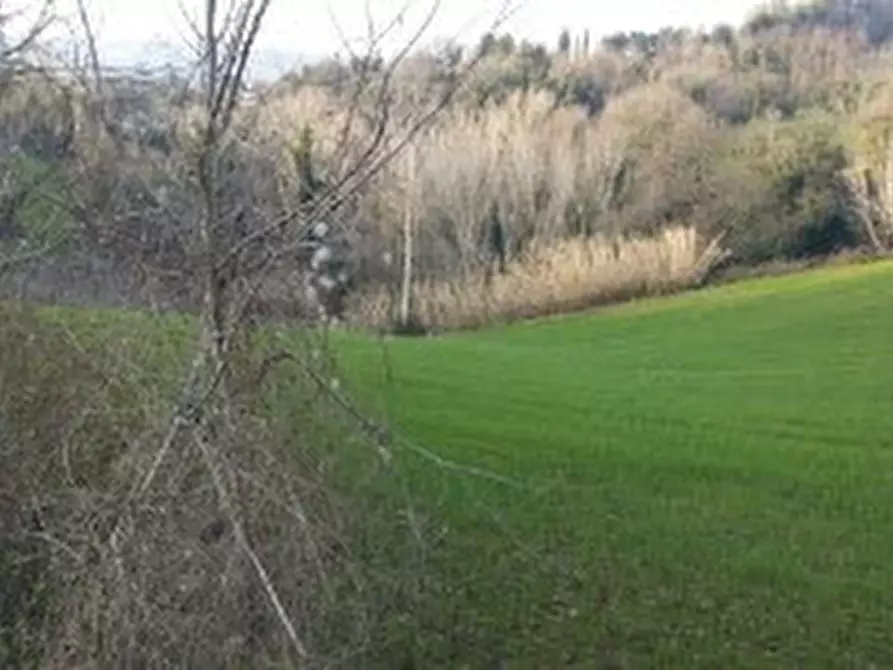 Immagine 31 di Casa indipendente in vendita  a Mondavio