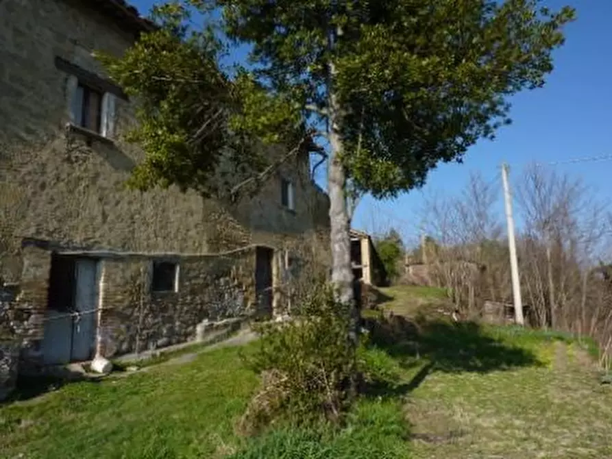 Immagine 7 di Rustico / casale in vendita  in case sparse a Venarotta