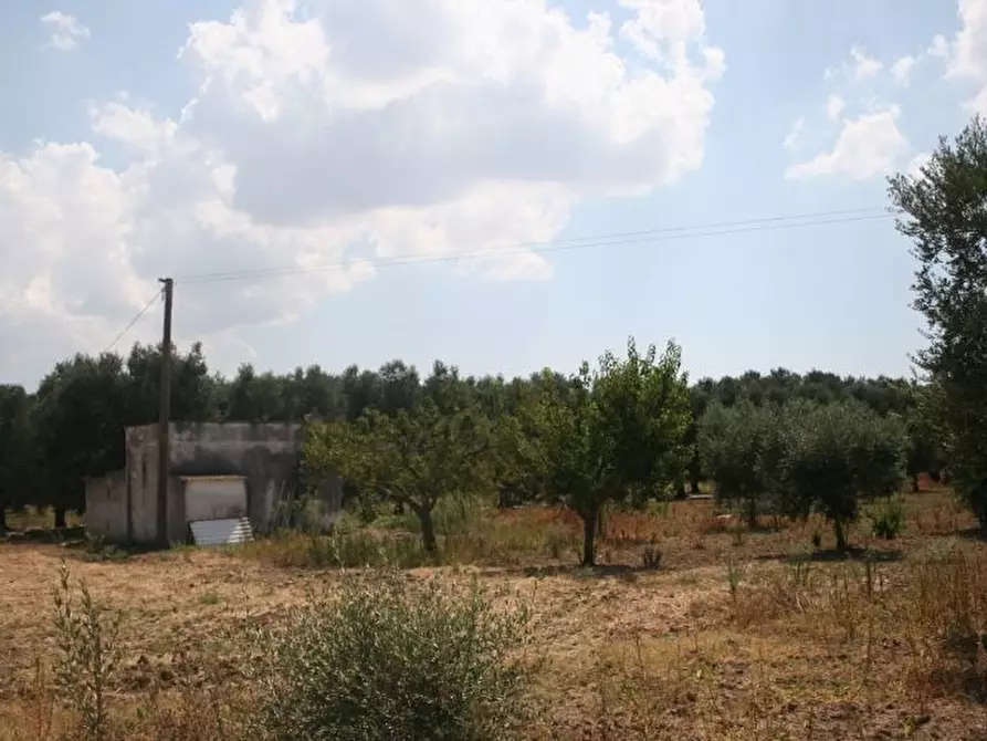 Immagine 34 di Terreno agricolo in vendita  in contrada mandrò a Cutrofiano