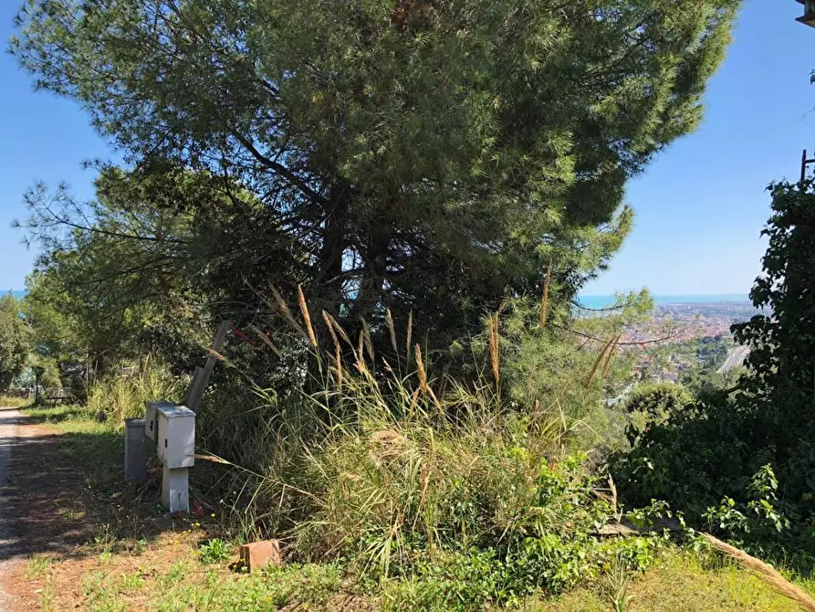 Immagine 3 di Terreno edificabile in vendita  a Grottammare