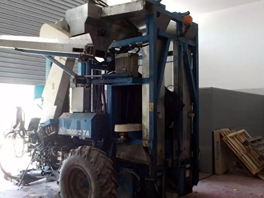 Immagine 13 di Azienda agricola in vendita  a Ripatransone