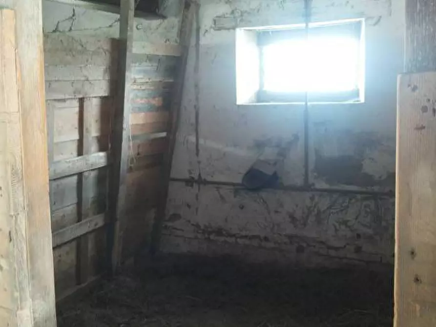 Immagine 9 di Casa indipendente in vendita  a Mondavio