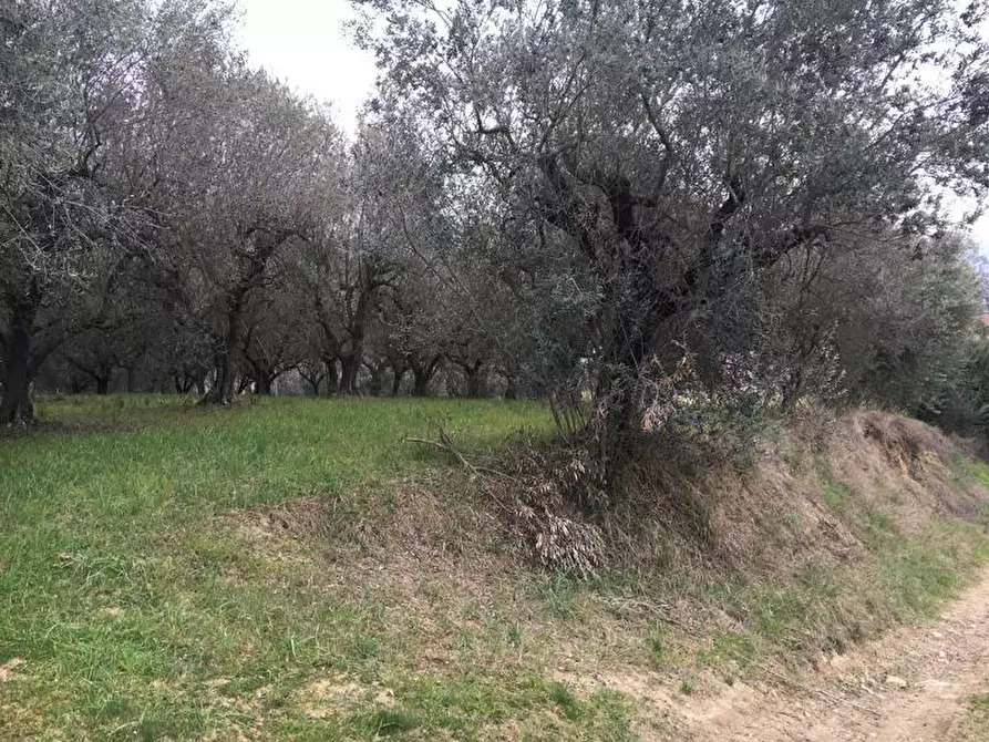 Immagine 3 di Terreno edificabile in vendita  in Vicolo Matteotti Secondo a Monteprandone