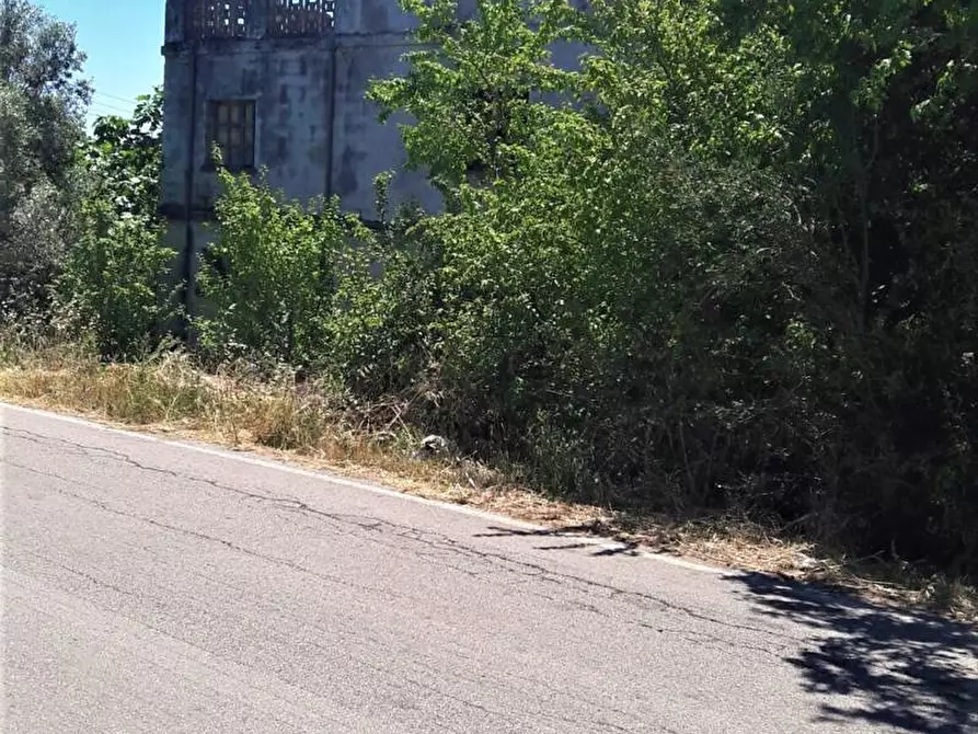 Immagine 9 di Rustico / casale in vendita  in Contrada Civita a Colonnella