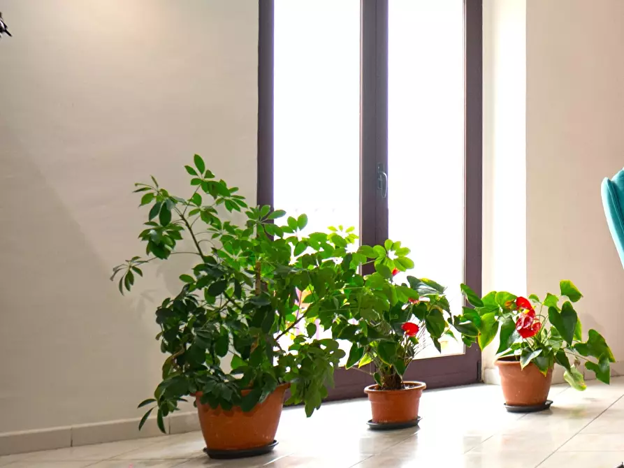 Immagine 4 di Casa indipendente in vendita  a San Fele