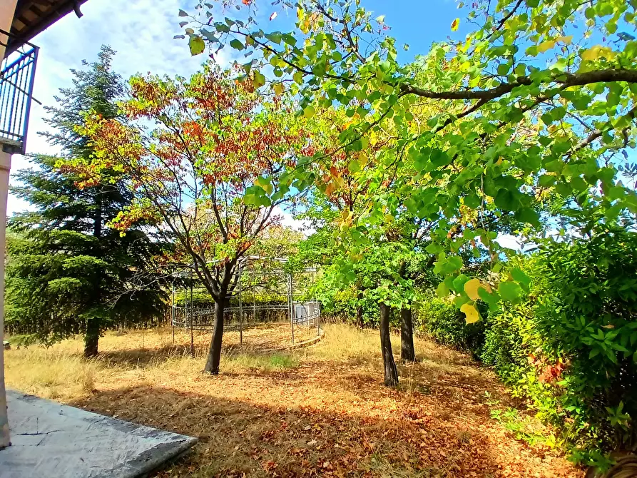 Immagine 39 di Casa indipendente in vendita  a Ancarano