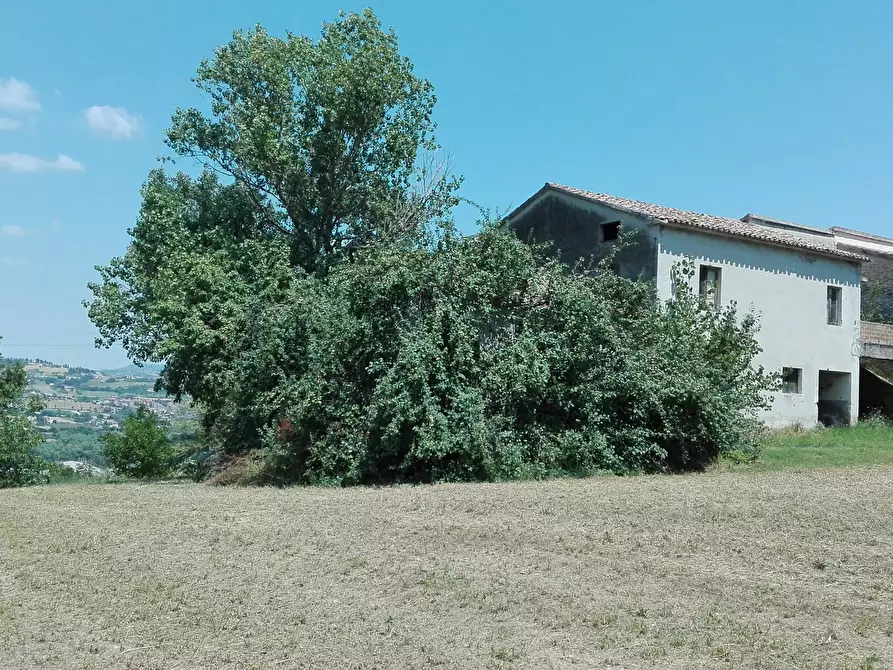 Immagine 3 di Casa indipendente in vendita  a Controguerra