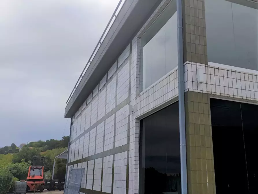 Immagine 4 di Capannone industriale in affitto  a Acquaviva Picena