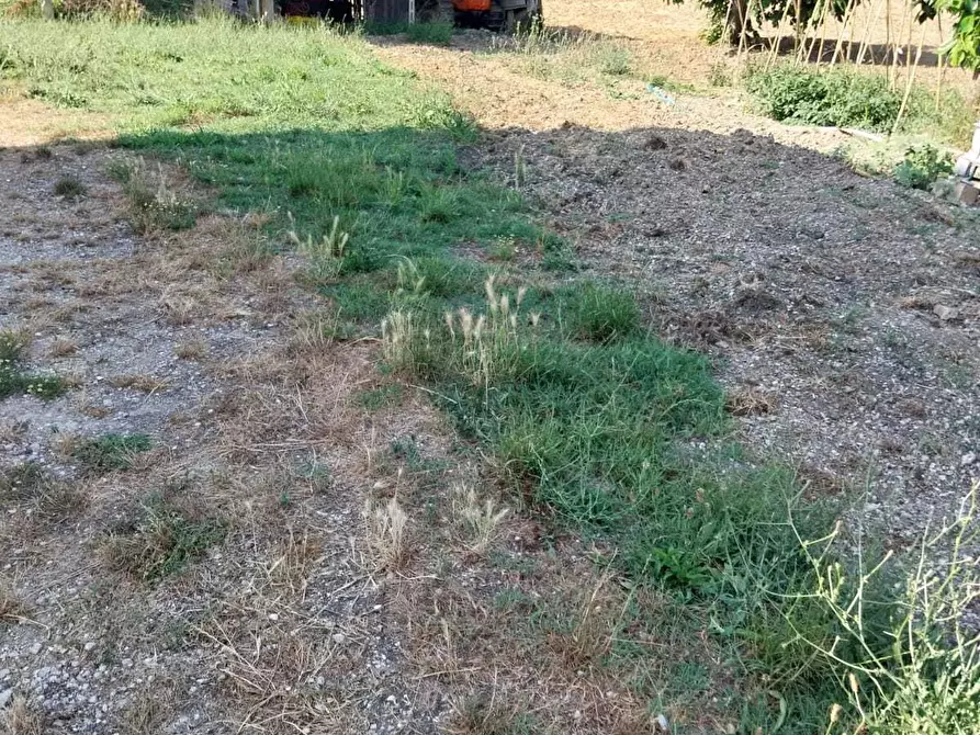 Immagine 16 di Casa indipendente in vendita  a Offida