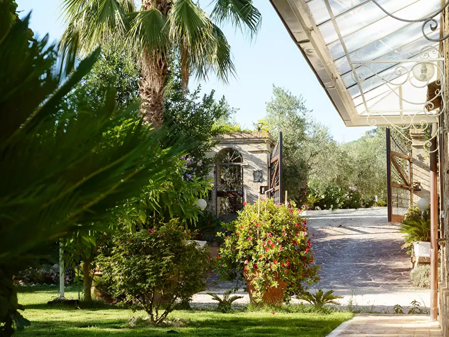 Immagine 11 di Casa indipendente in vendita  a Colonnella