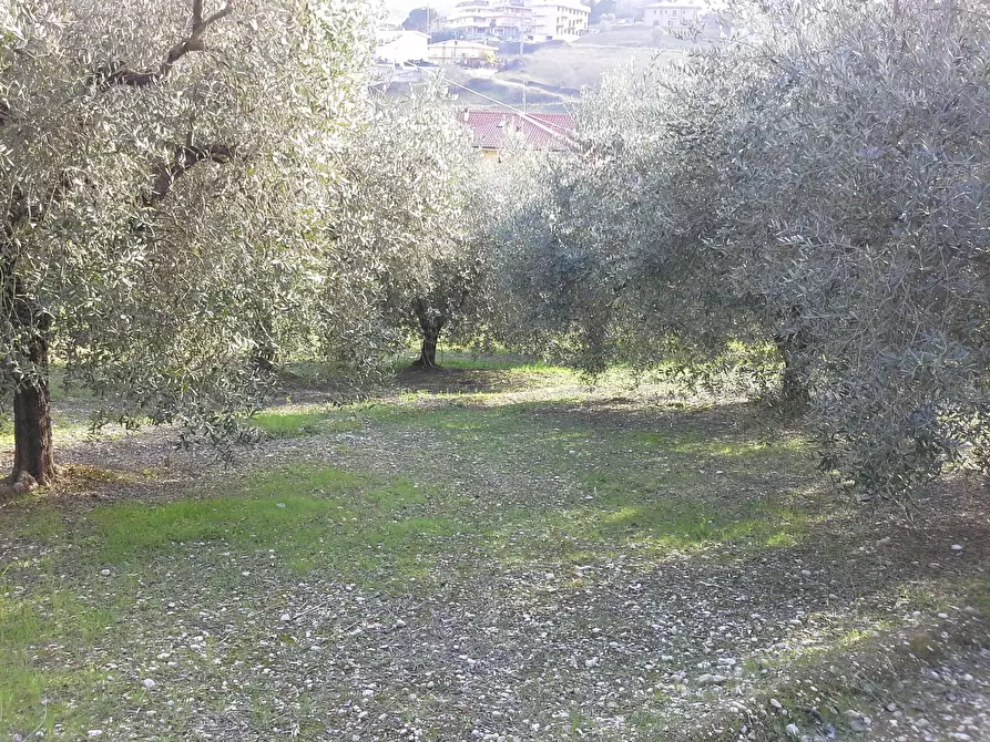 Immagine 28 di Casa indipendente in vendita  a San Benedetto Del Tronto