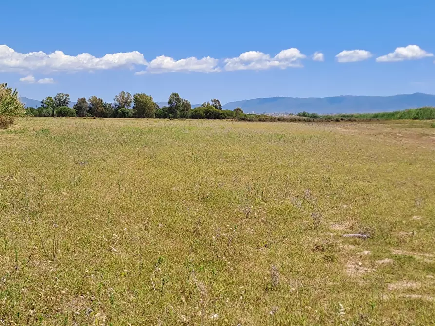 Immagine 10 di Terreno agricolo in vendita  a Quartu Sant'elena