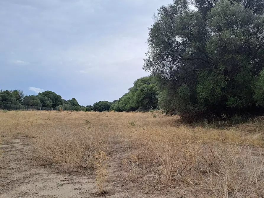Immagine 13 di Terreno agricolo in vendita  a Quartucciu