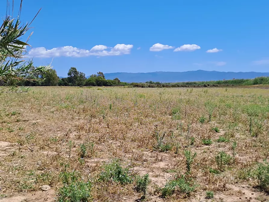 Immagine 1 di Terreno agricolo in vendita  a Quartu Sant'elena